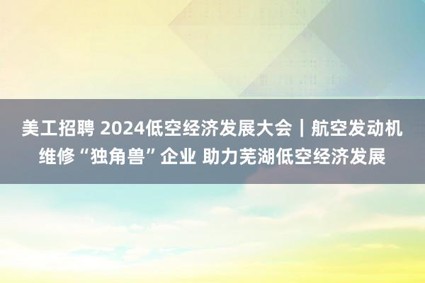 美工招聘 2024低空经济发展大会｜航空发动机维修“独角兽”企业 助力芜湖低空经济发展